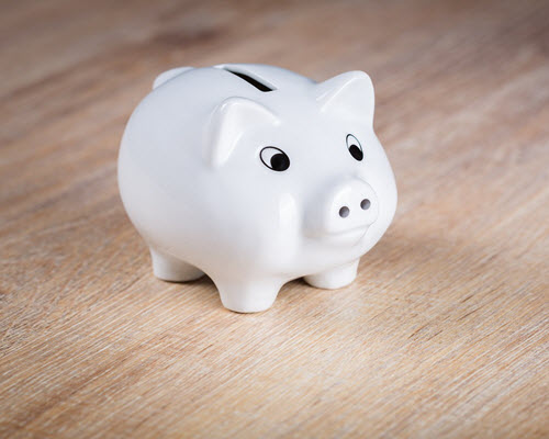 piggy-bank-1595992_1280 new home inspection