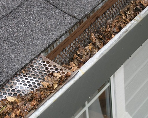 Clogged-gutters clogged gutters